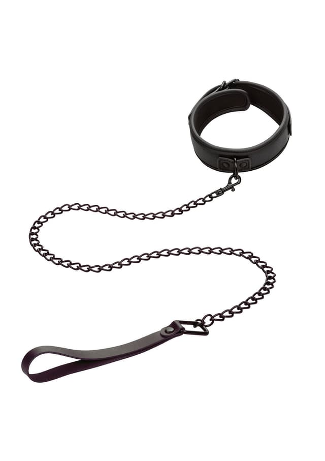 Nocturnal Collar &amp; Leash