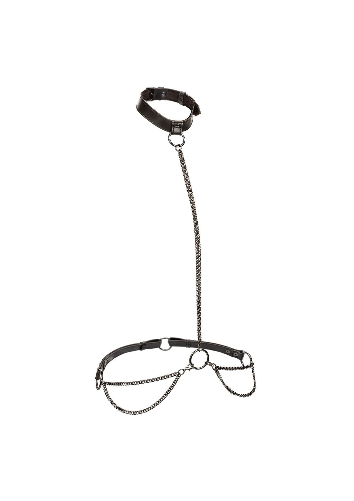 Chain Halter & Collar Plus