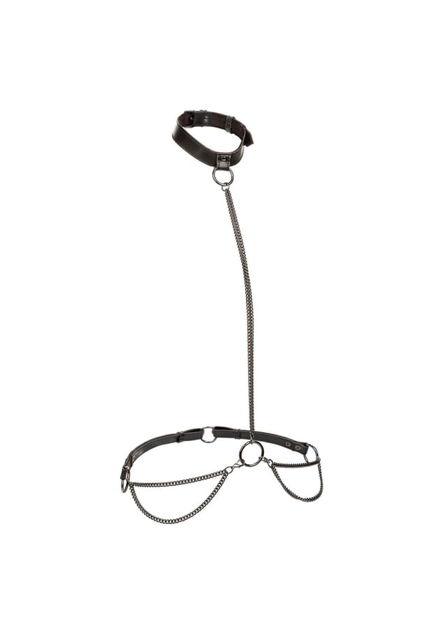 Chain Halter & Collar Plus
