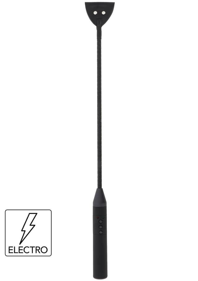 Electro Shock Riding Crop