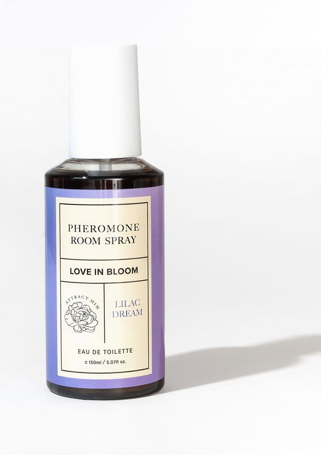 Room Phero Attract Him 150 ml