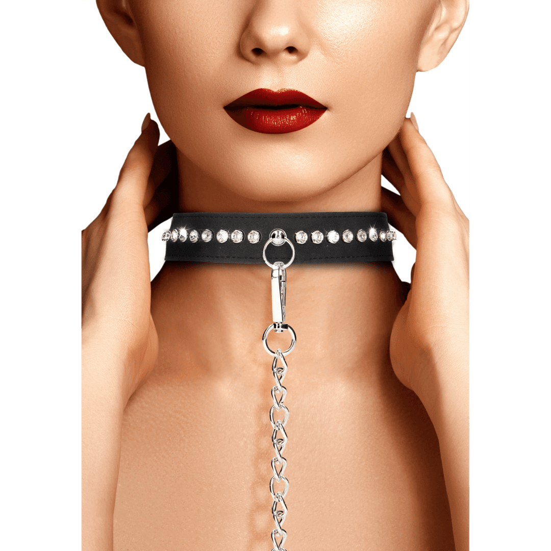 Diamond Studded Collar with Leash